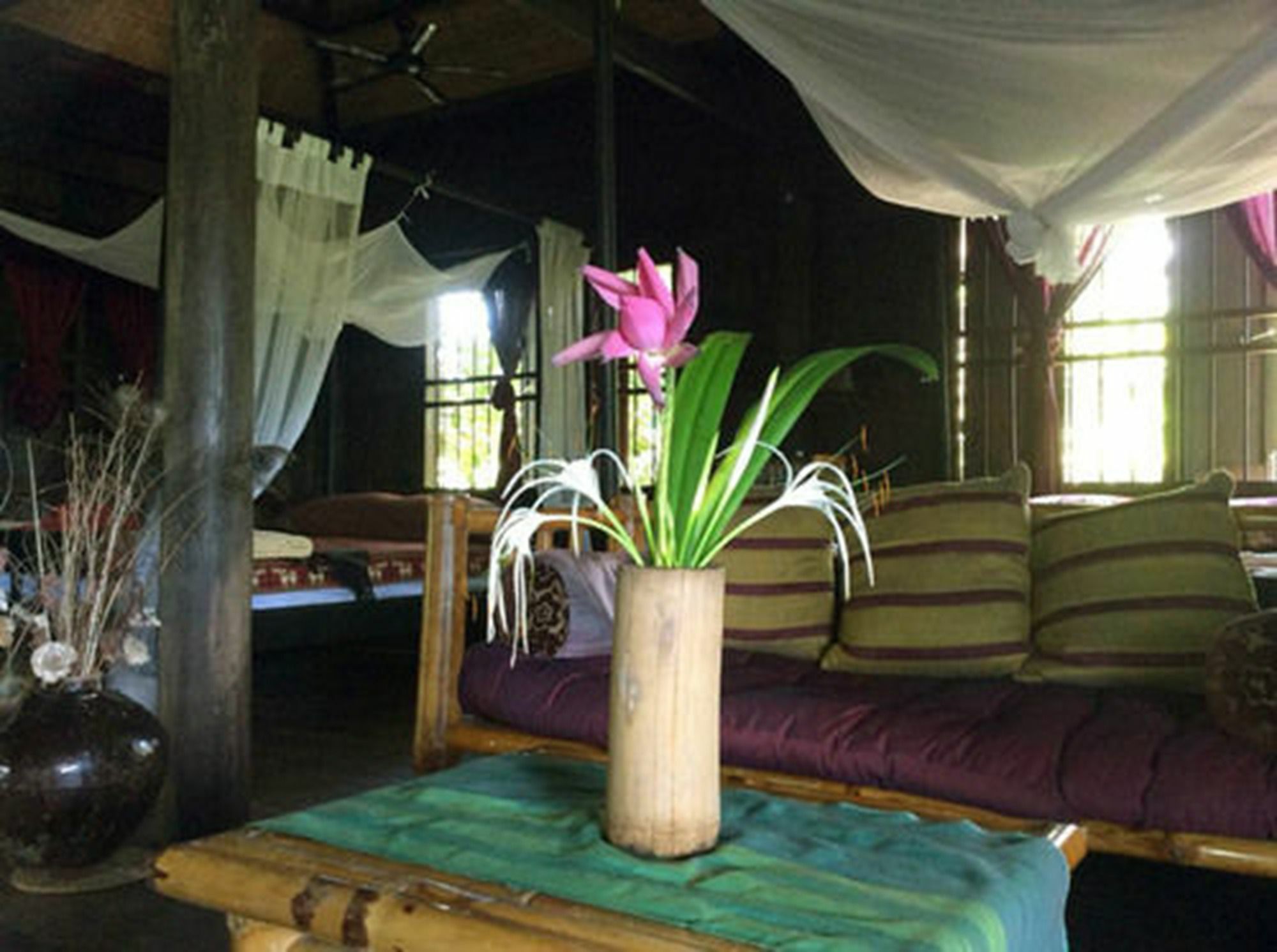 The Bong Thom Homestay Siem Reap Esterno foto